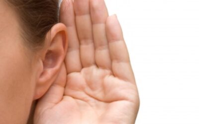 Van feedback naar gesprek